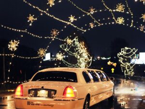 Best Holiday Light Tours